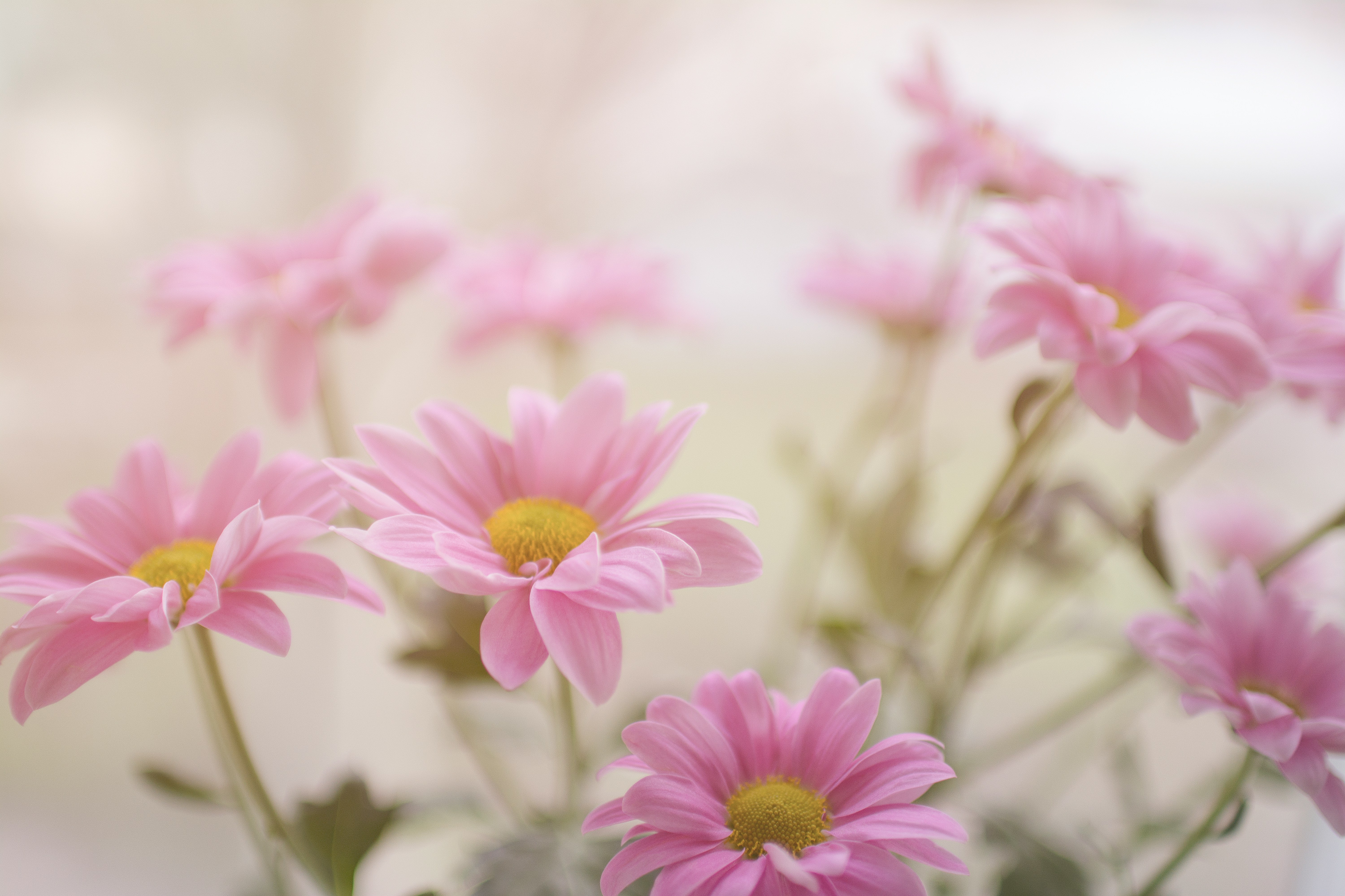 God’s Unwavering Regard For Women
