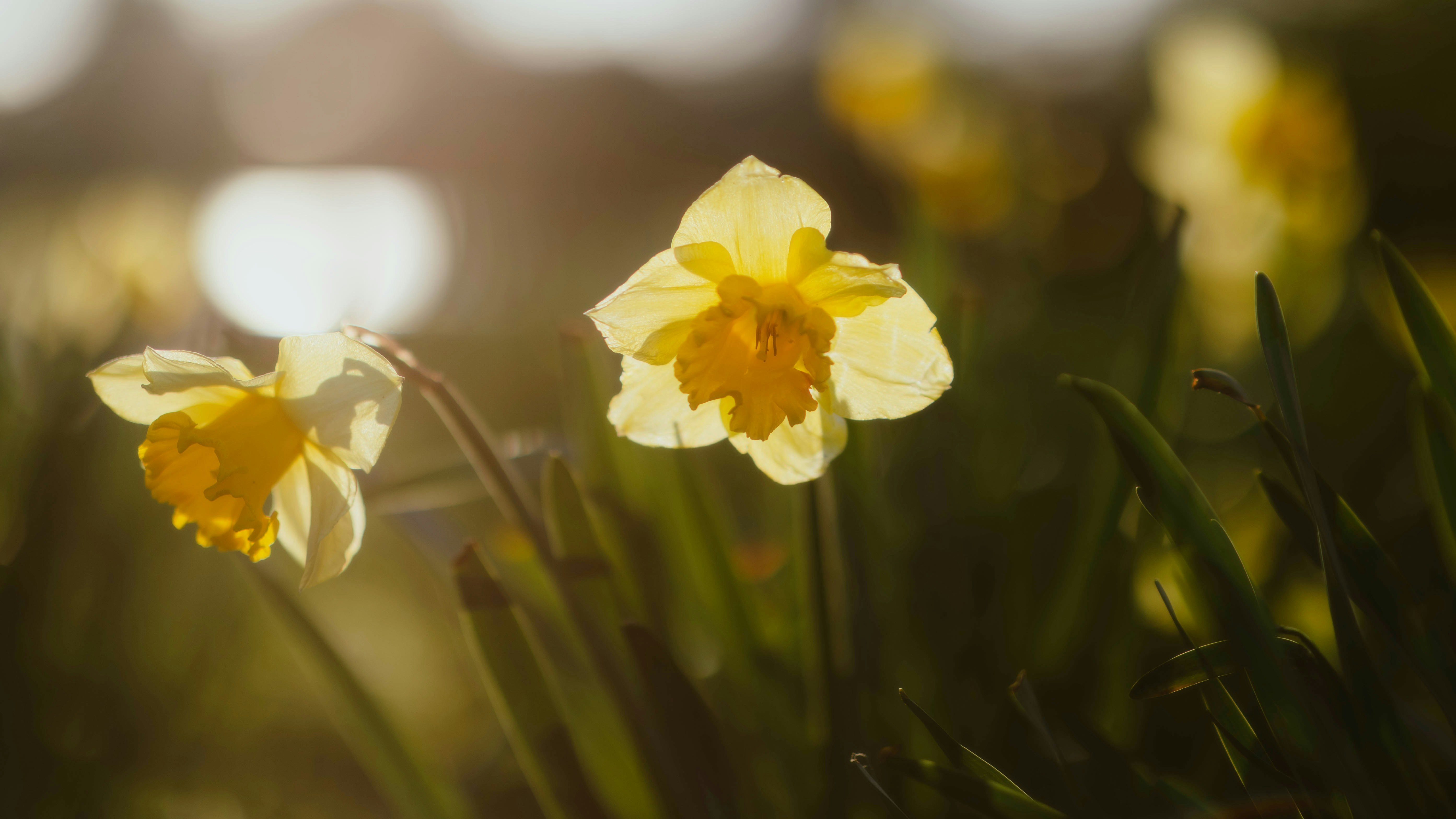 What’s So Good About Good Friday?
