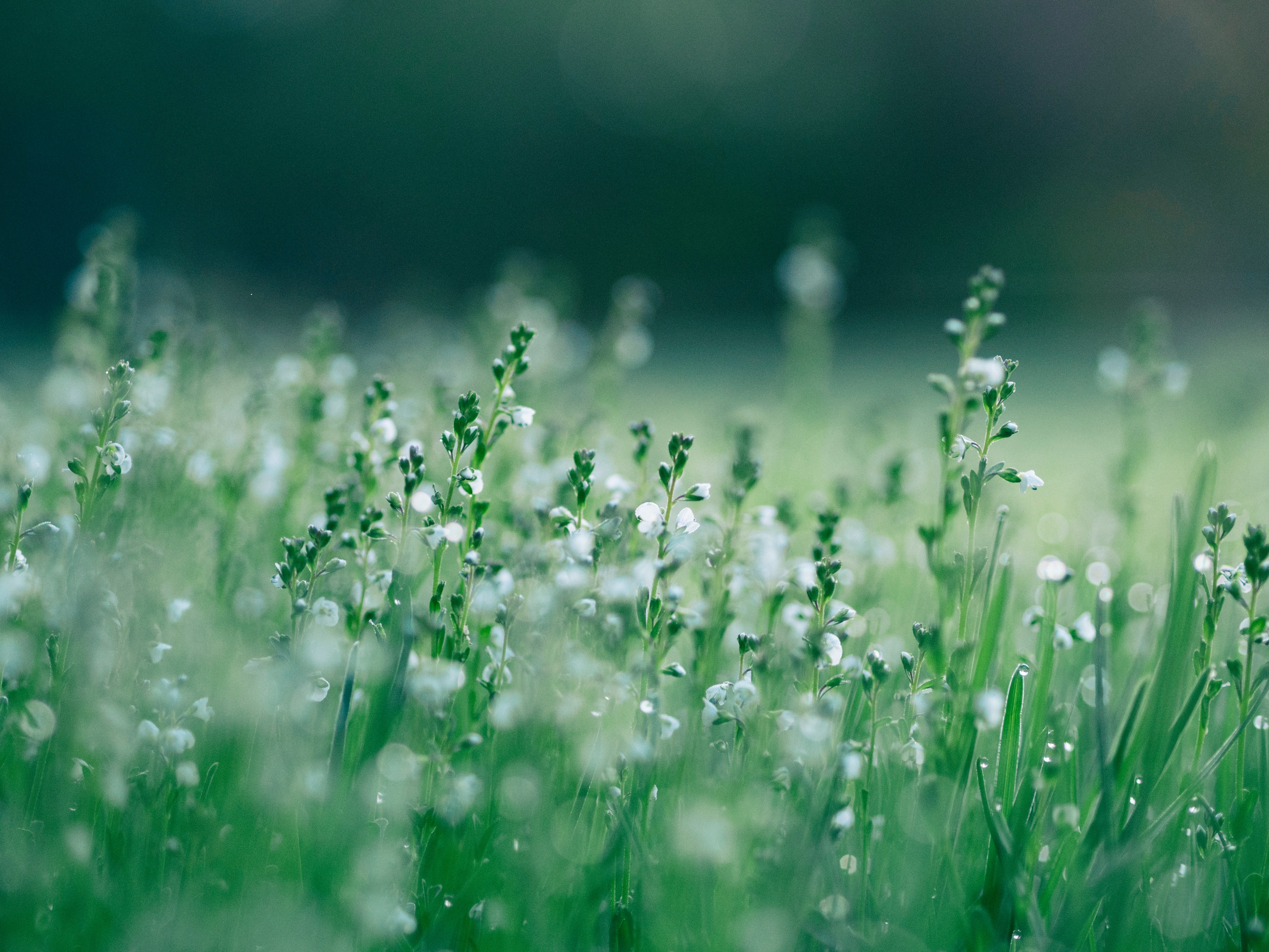 A Word About Joy