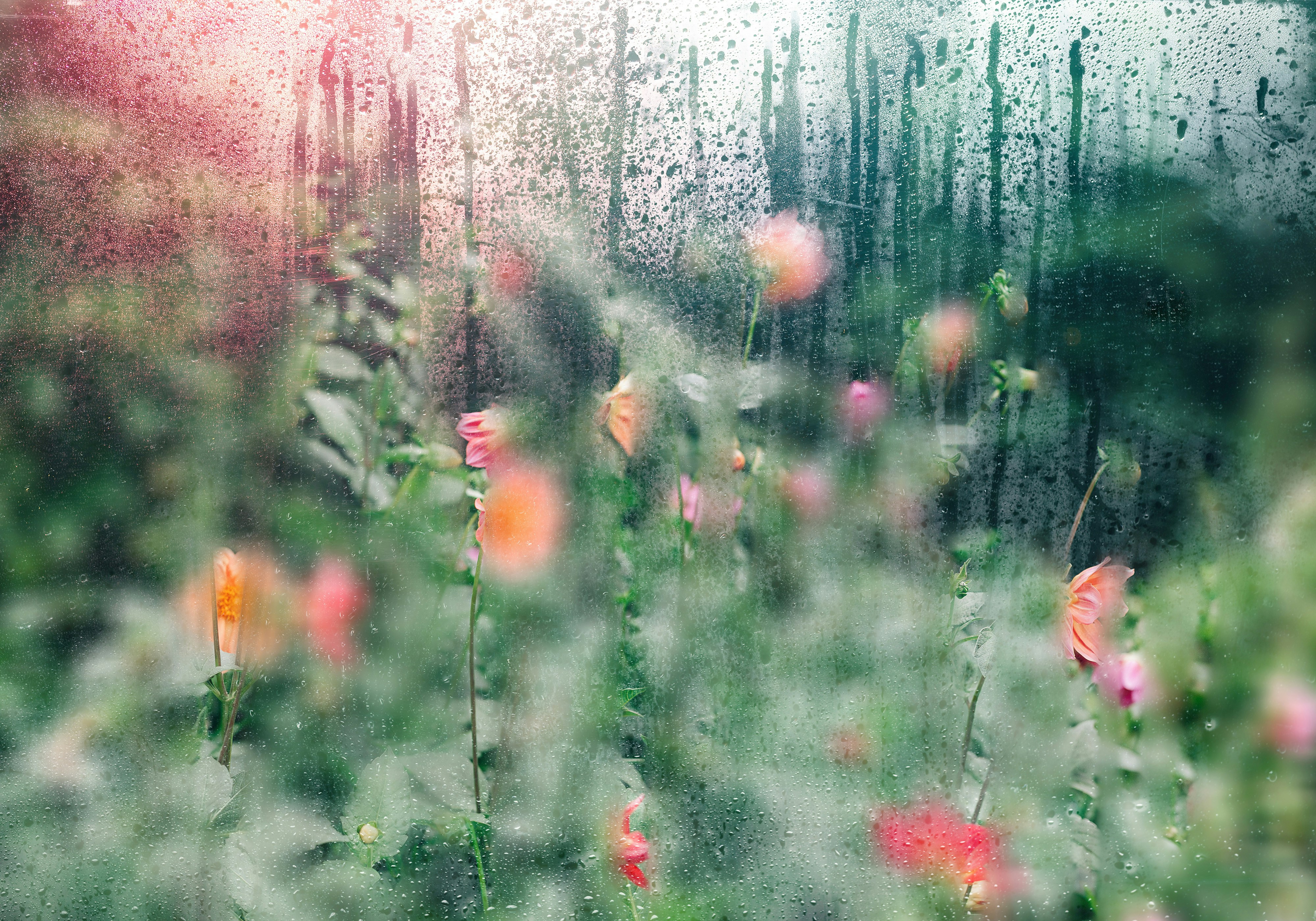 The Misunderstood Power of Depression